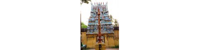 ஆதிகம்பட்ட விஸ்வநாதர்